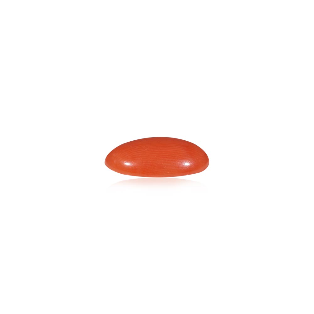 Red Coral - 4.96 Carat