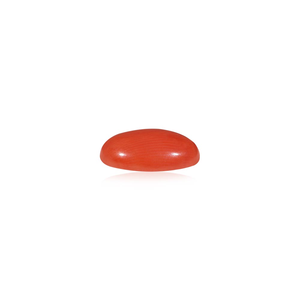 Red Coral - 4.99 Carat