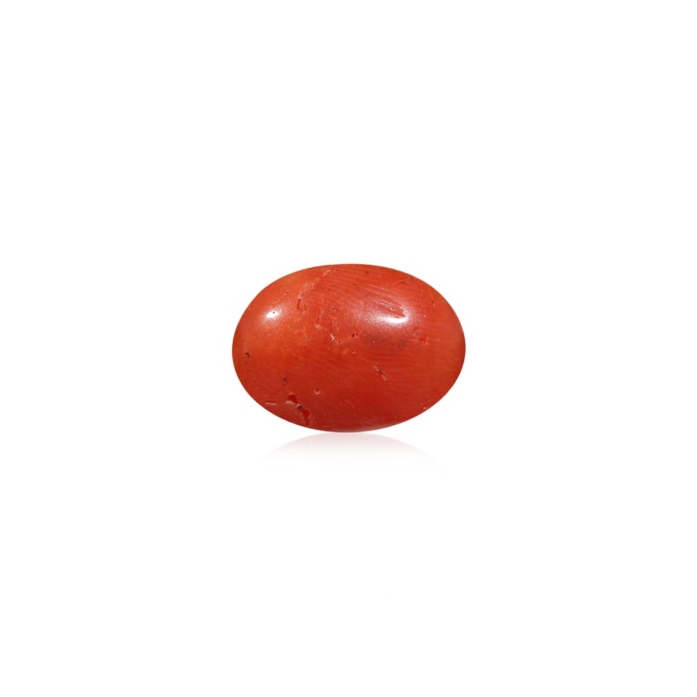 Red Coral - 5.02 Carat