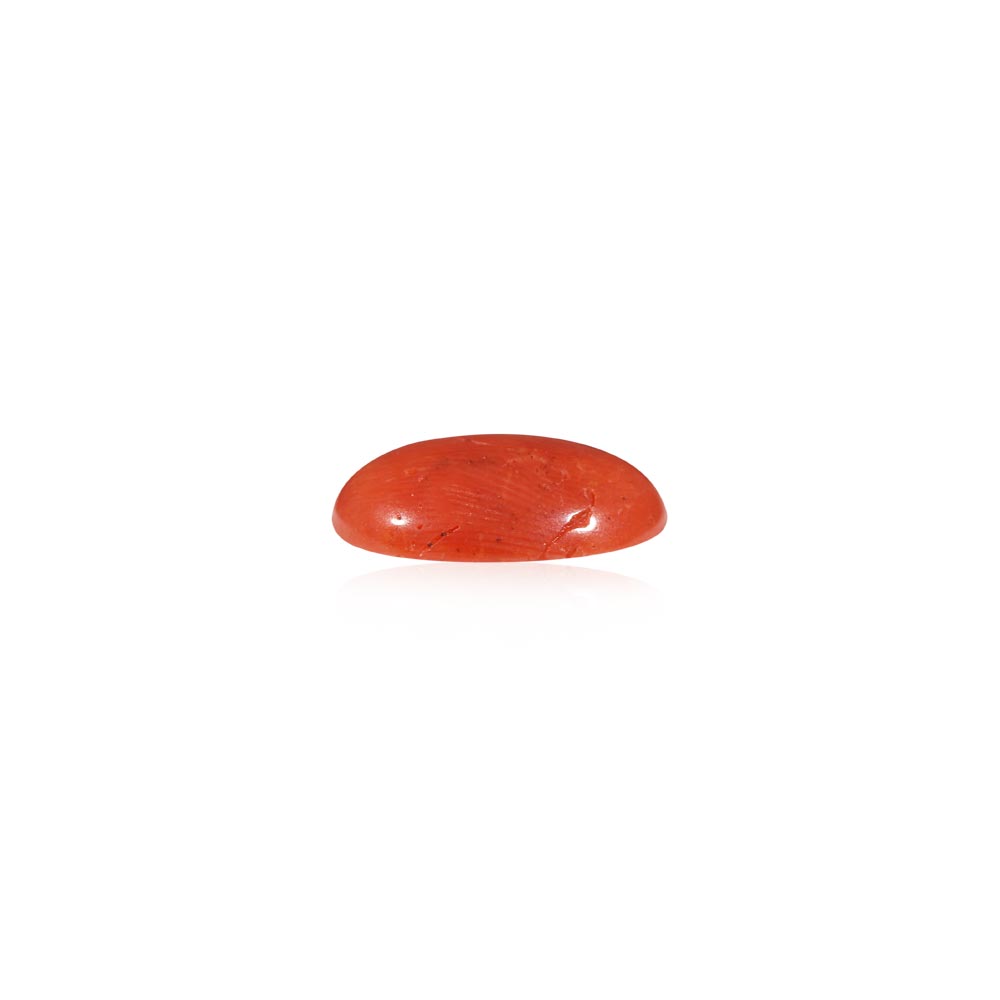 Red Coral - 5.02 Carat