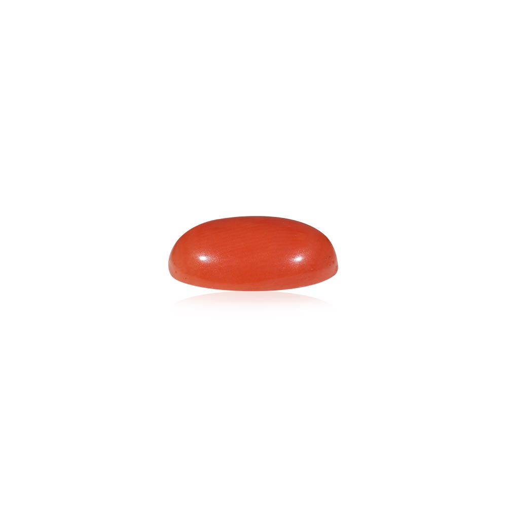 Red Coral - 5.04 Carat
