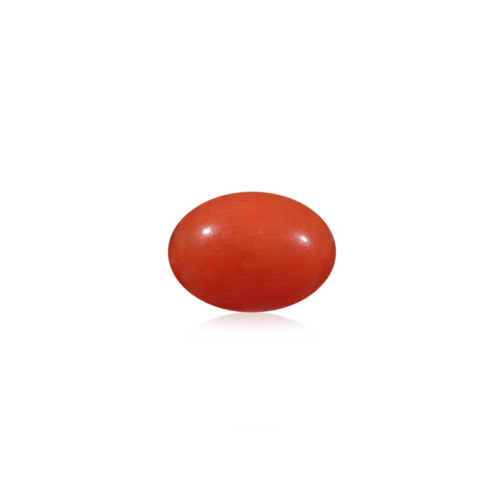 Red Coral - 5.04 Carat