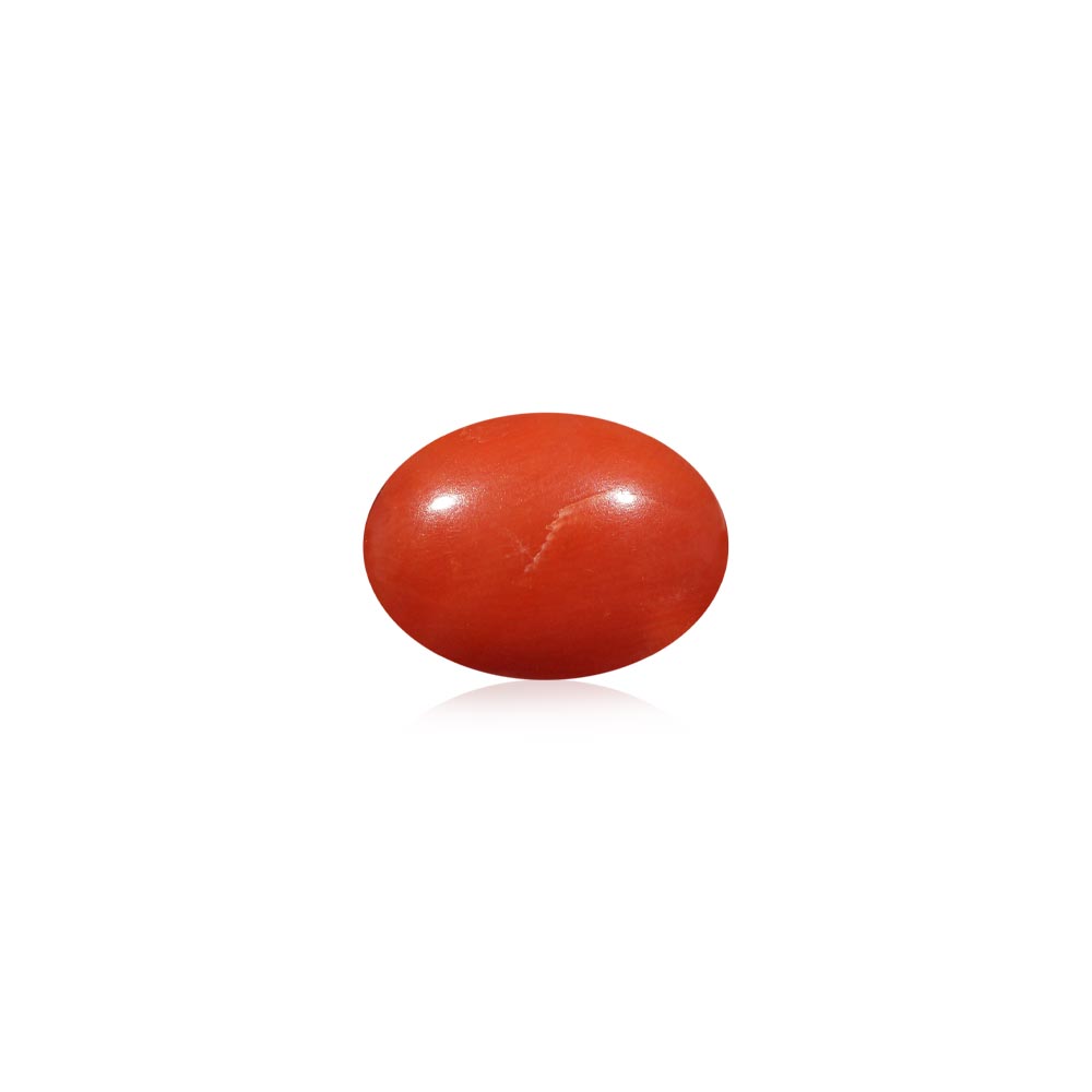 Red Coral - 5.07 Carat
