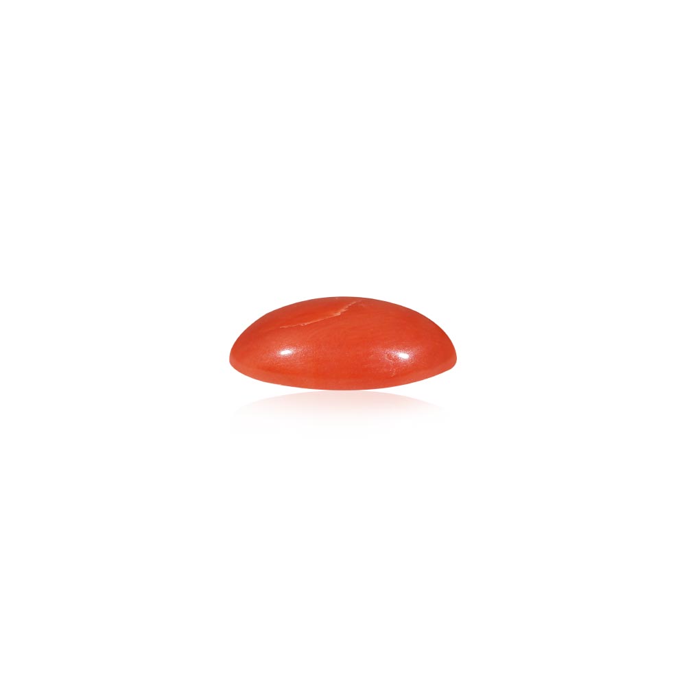 Red Coral - 5.07 Carat