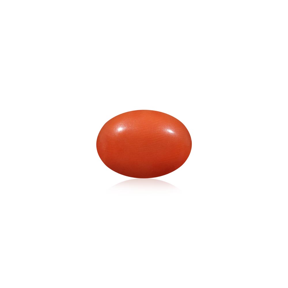 Red Coral - 5.12 Carat