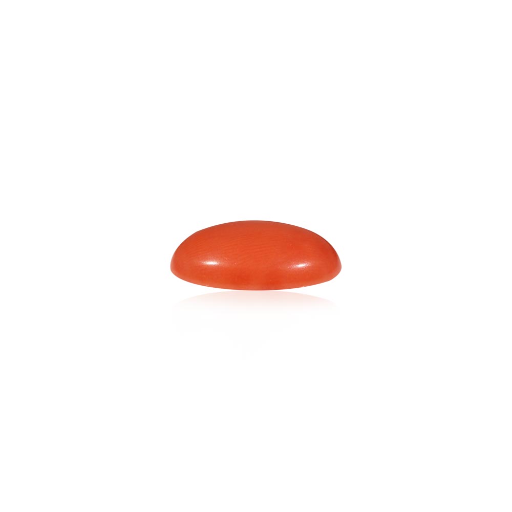 Red Coral - 5.12 Carat