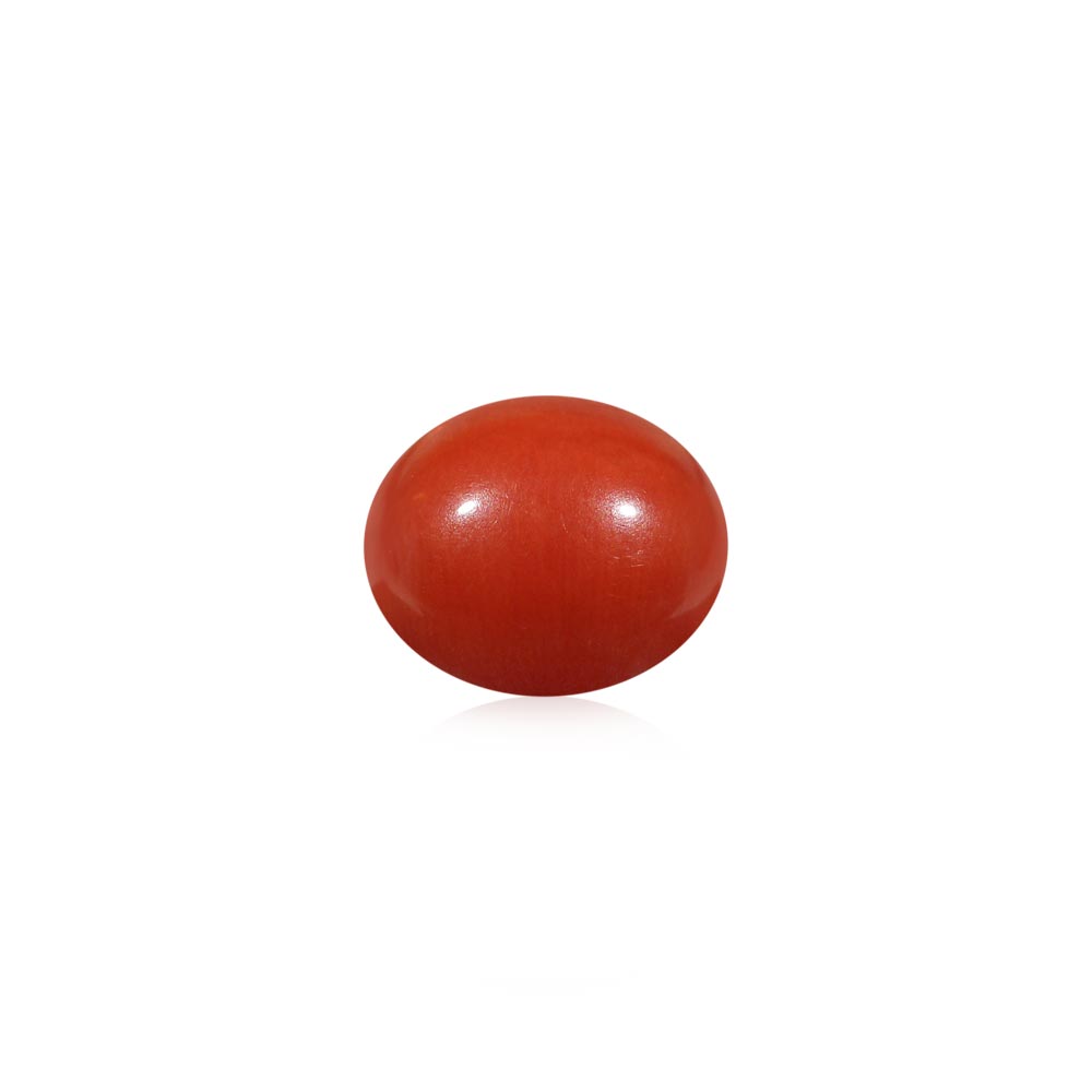 Red Coral - 5.2 Carat