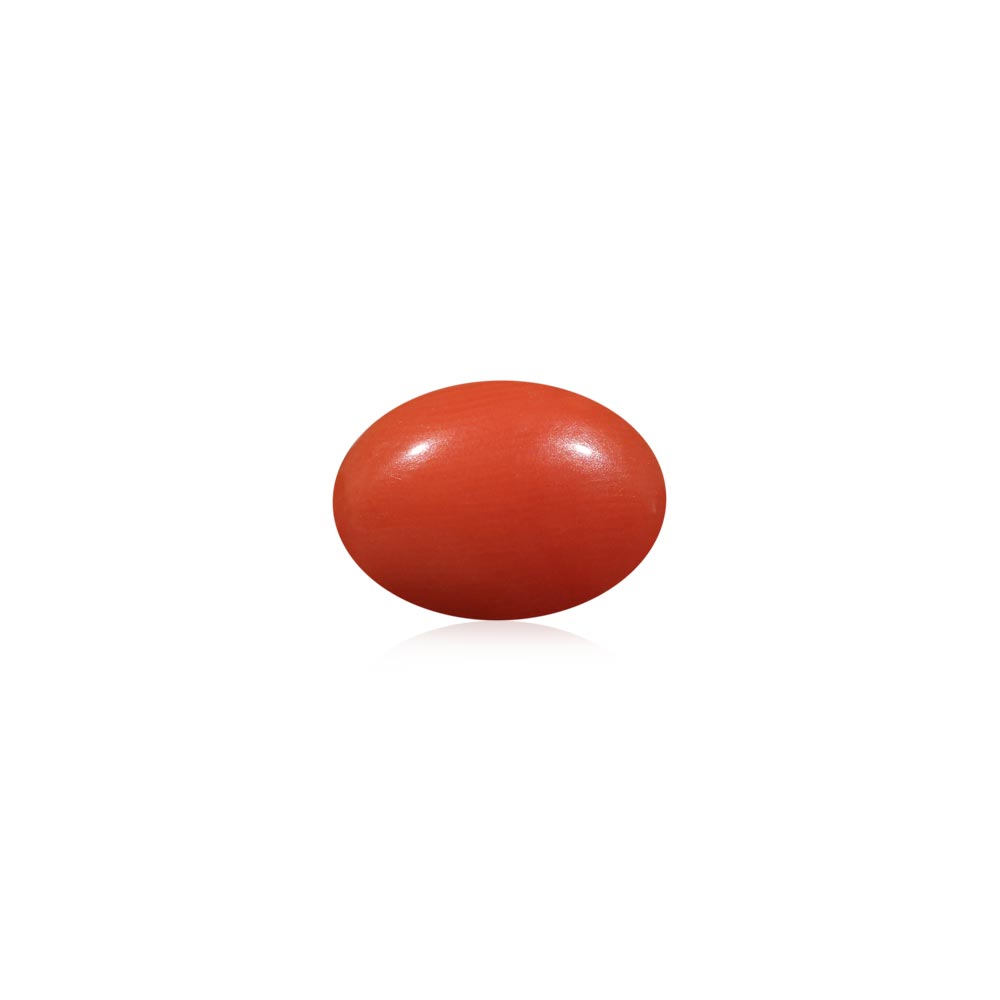 Red Coral - 5.24 Carat