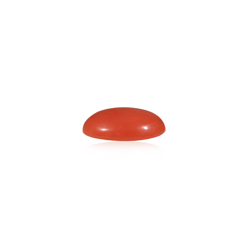 Red Coral - 5.24 Carat
