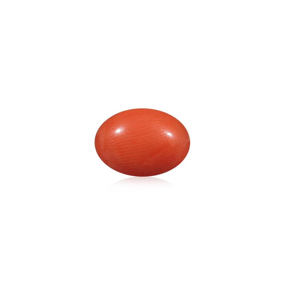 Red Coral - 5.31 Carat