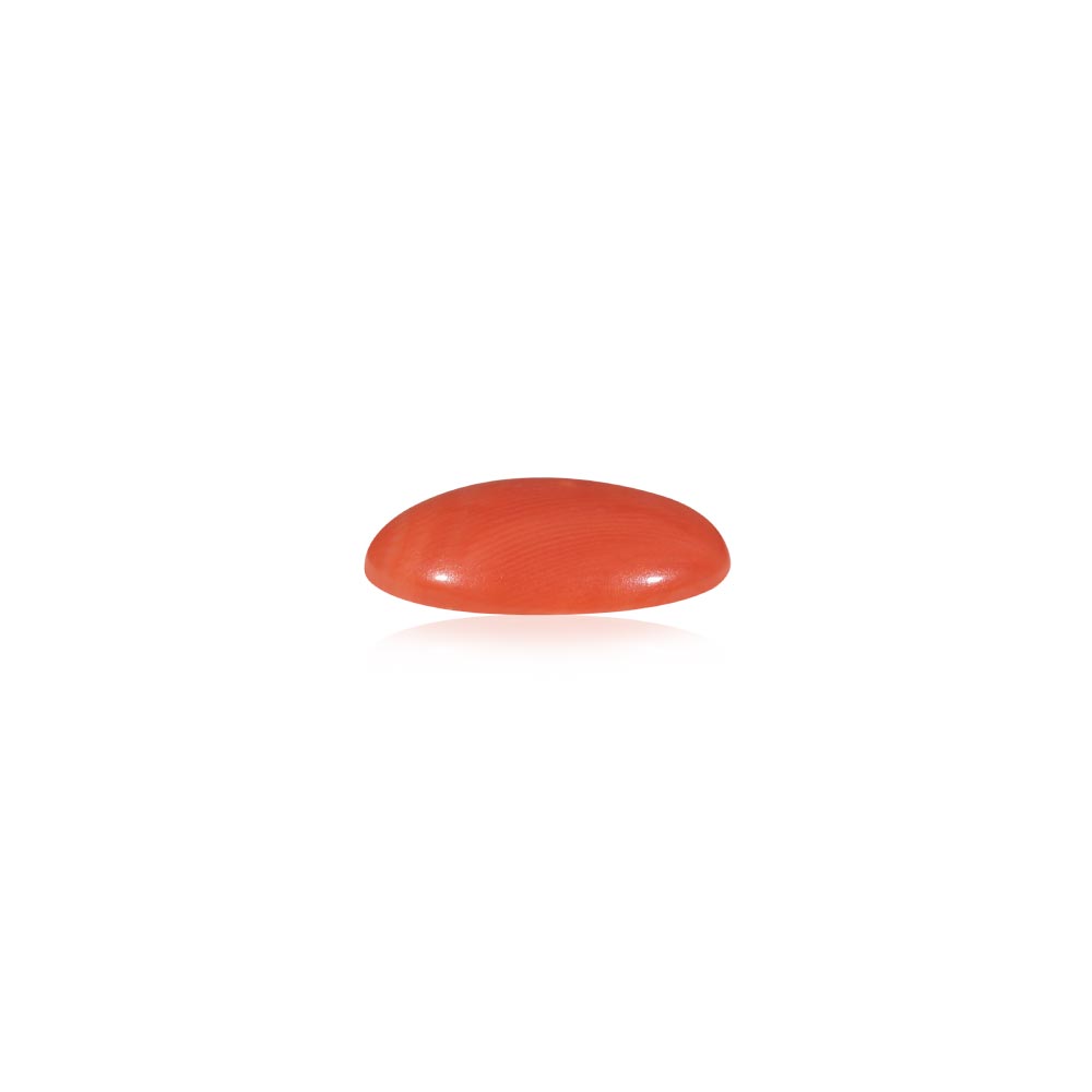 Red Coral - 5.32 Carat