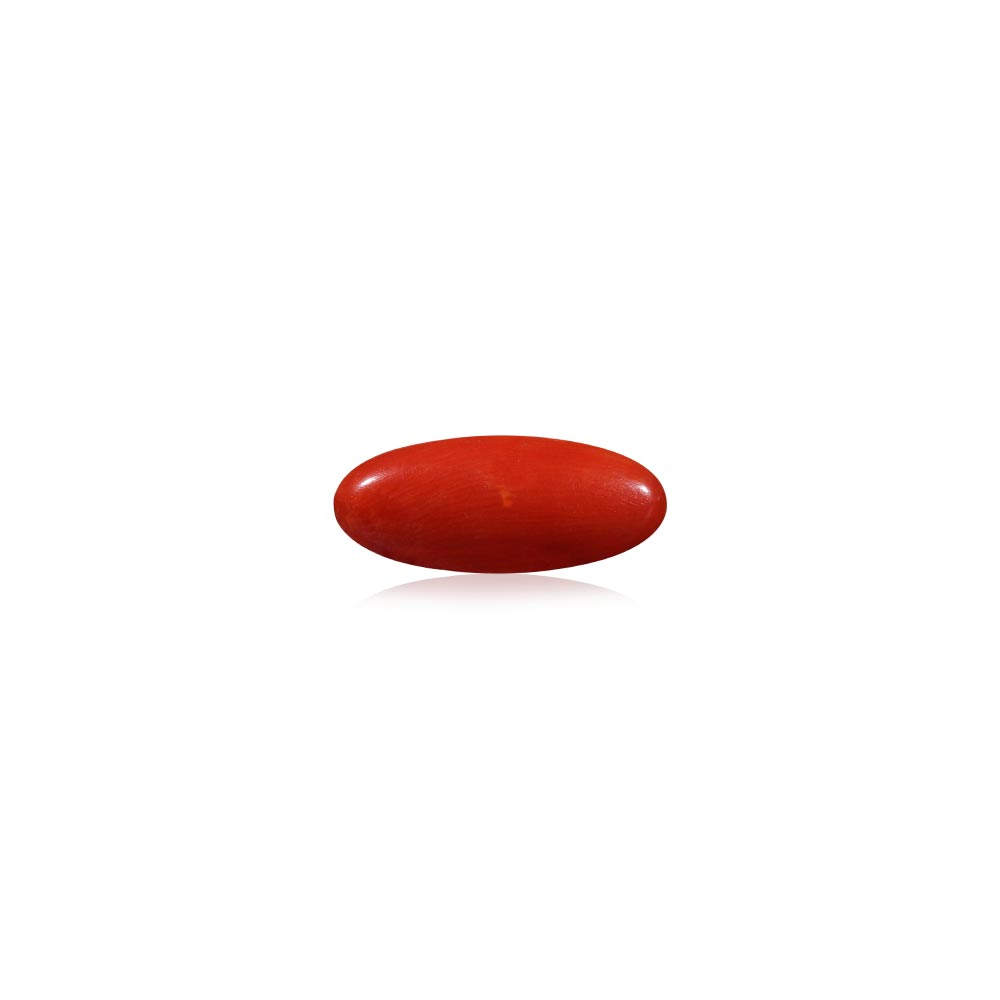 Red Coral - 5.33 Carat