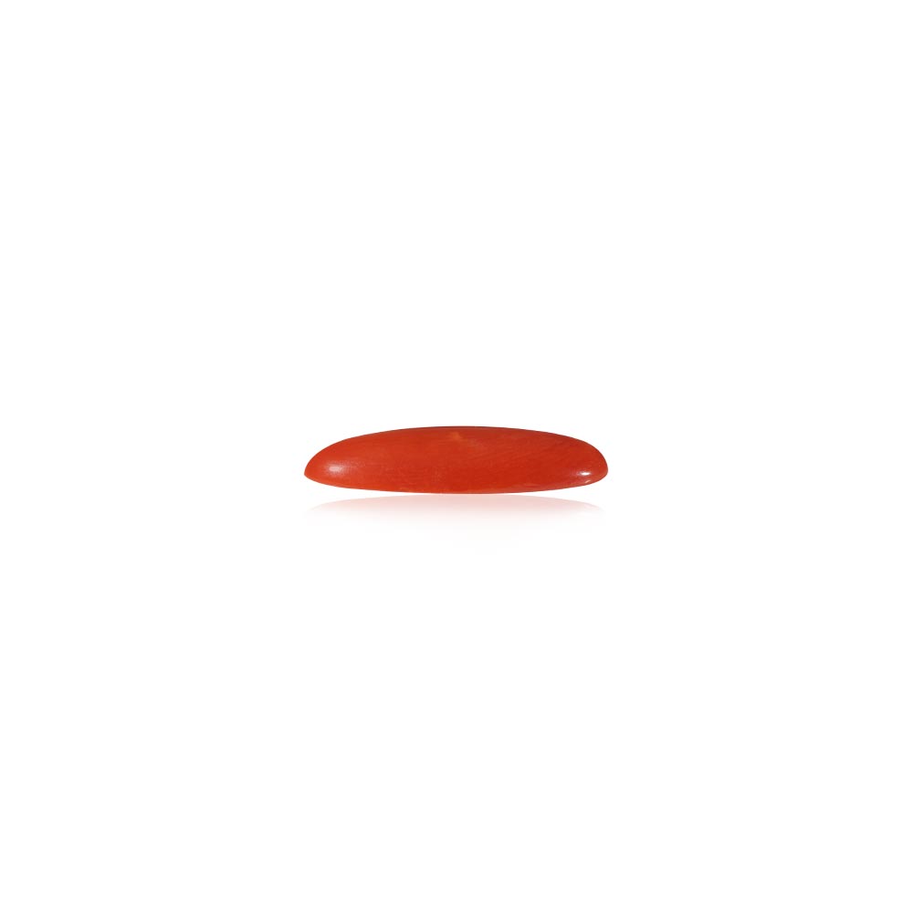 Red Coral - 5.33 Carat