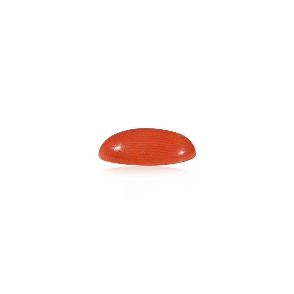 Red Coral - 5.34 Carat