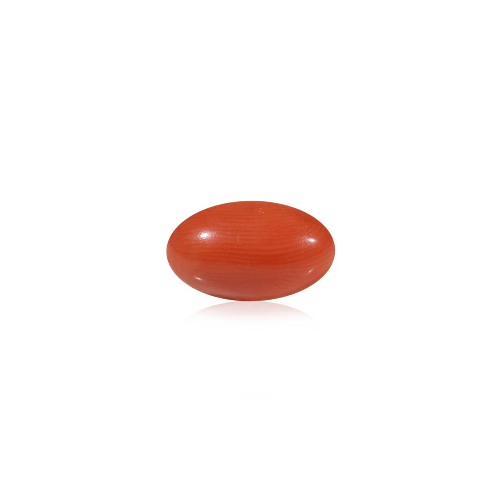 Red Coral - 5.34 Carat