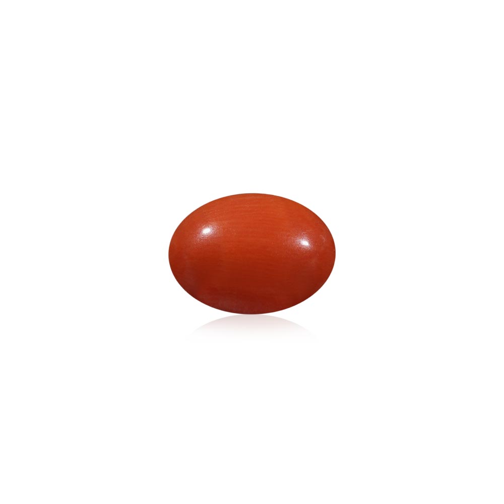 Red Coral - 5.34 Carat
