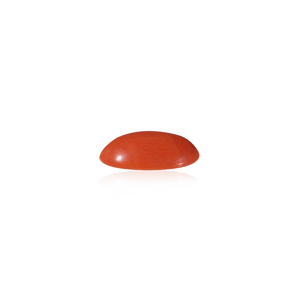 Red Coral - 5.34 Carat