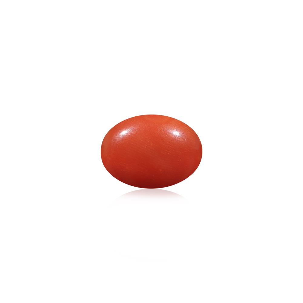 Red Coral - 5.36 Carat