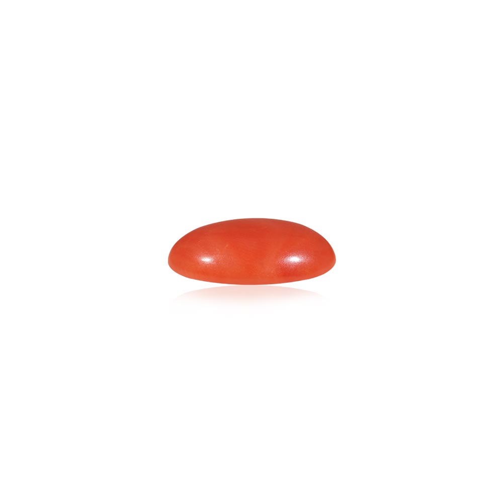 Red Coral - 5.36 Carat