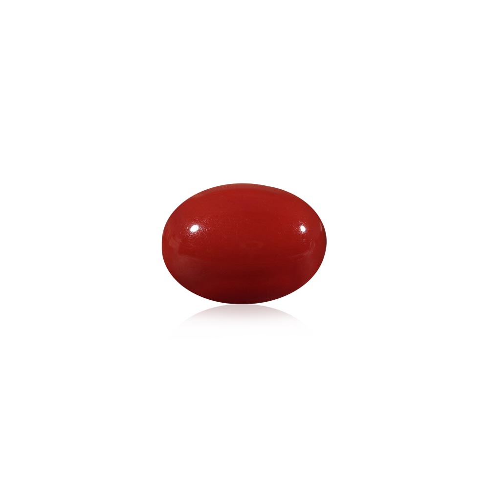Red Coral - 5.37 Carat