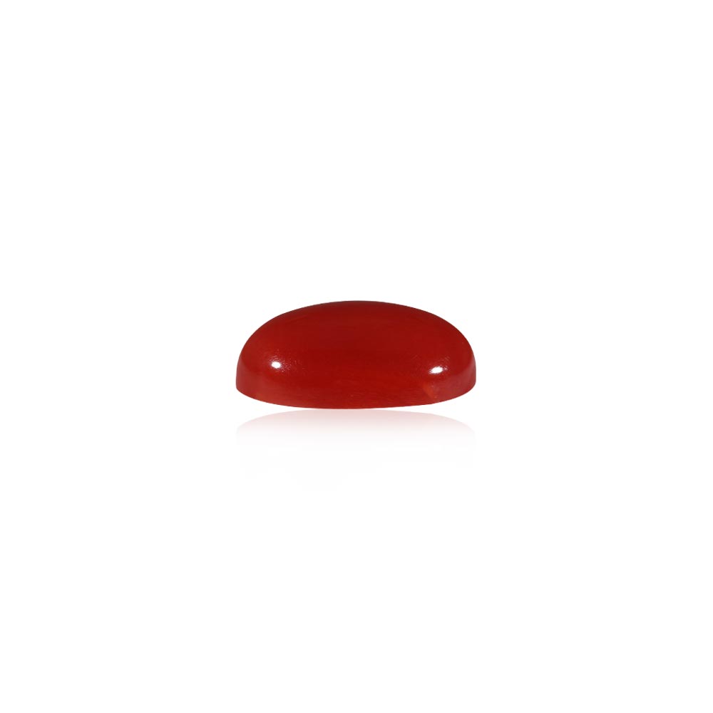 Red Coral - 5.37 Carat