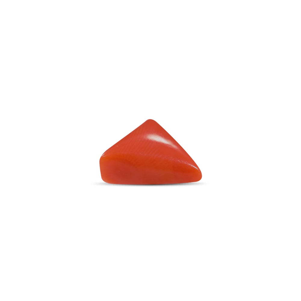 Red Coral - 5.38 Carat