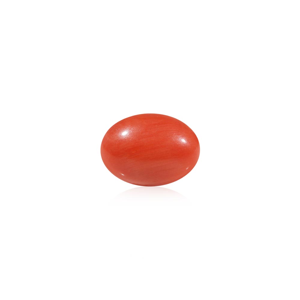 Red Coral - 5.41 Carat
