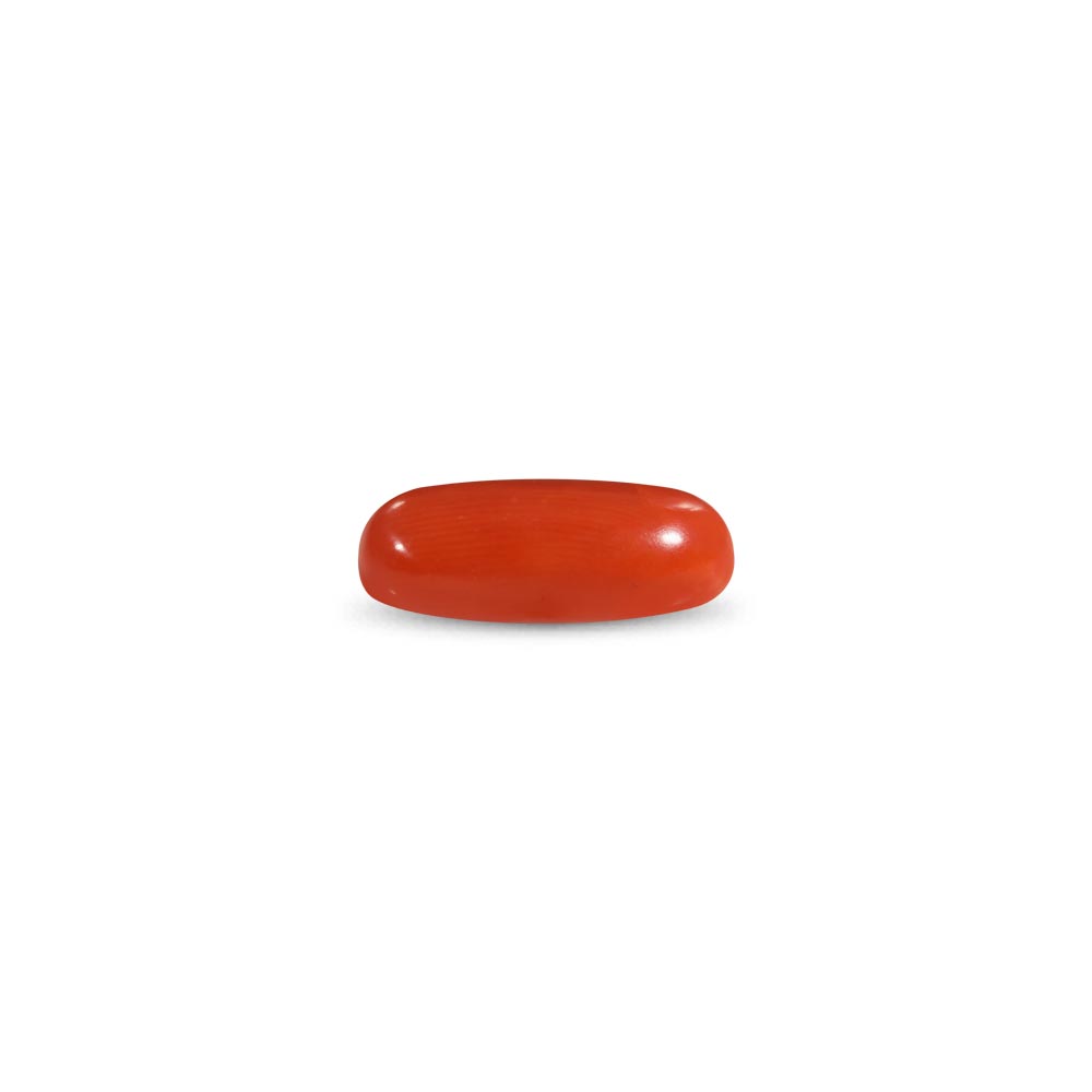 Red Coral - 5.43 Carat