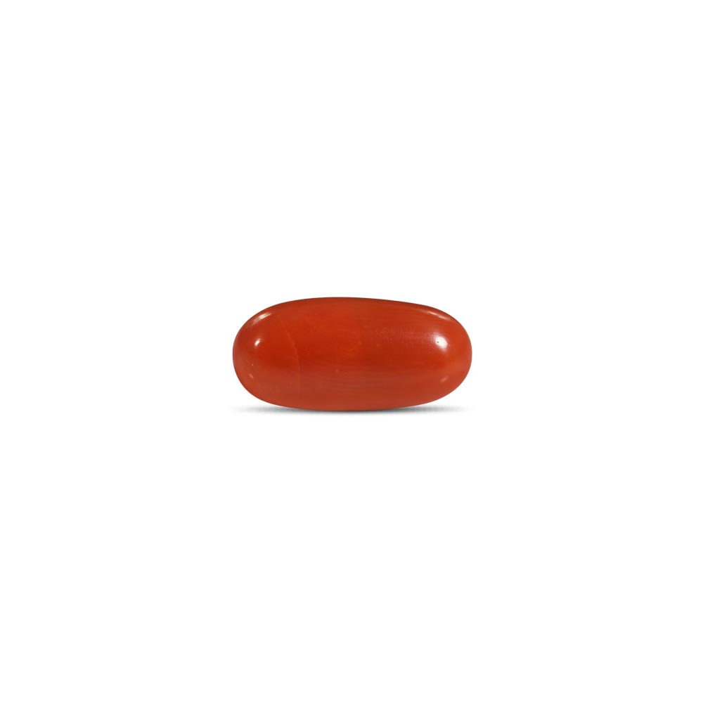 Red Coral - 5.43 Carat
