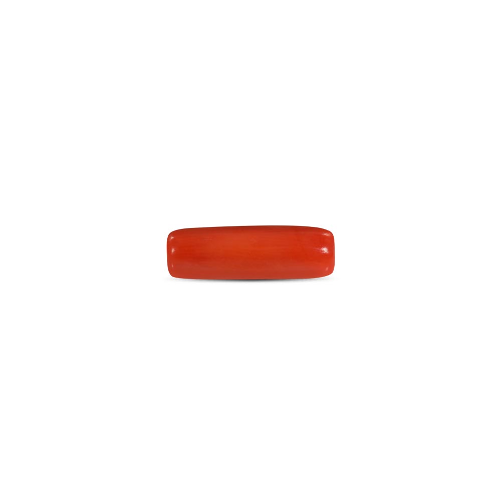 Red Coral - 5.45 Carat