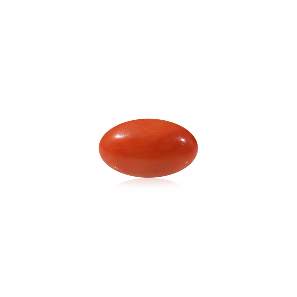 Red Coral - 5.5 Carat