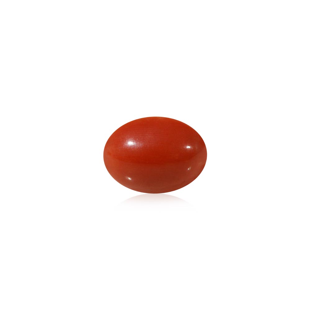 Red Coral - 5.52 Carat
