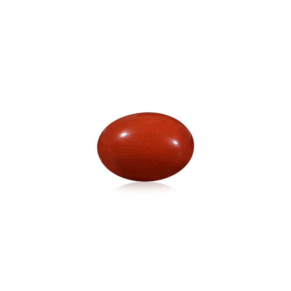 Red Coral - 5.52 Carat