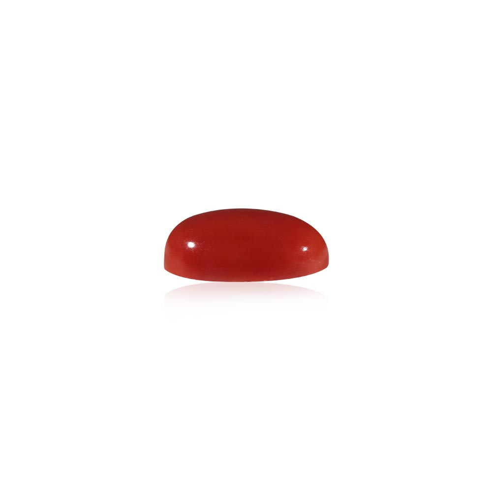 Red Coral - 5.6 Carat