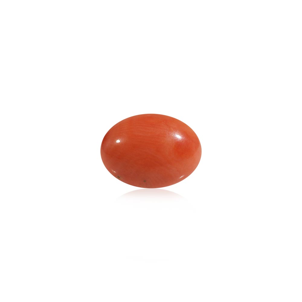 Red Coral - 5.61 Carat