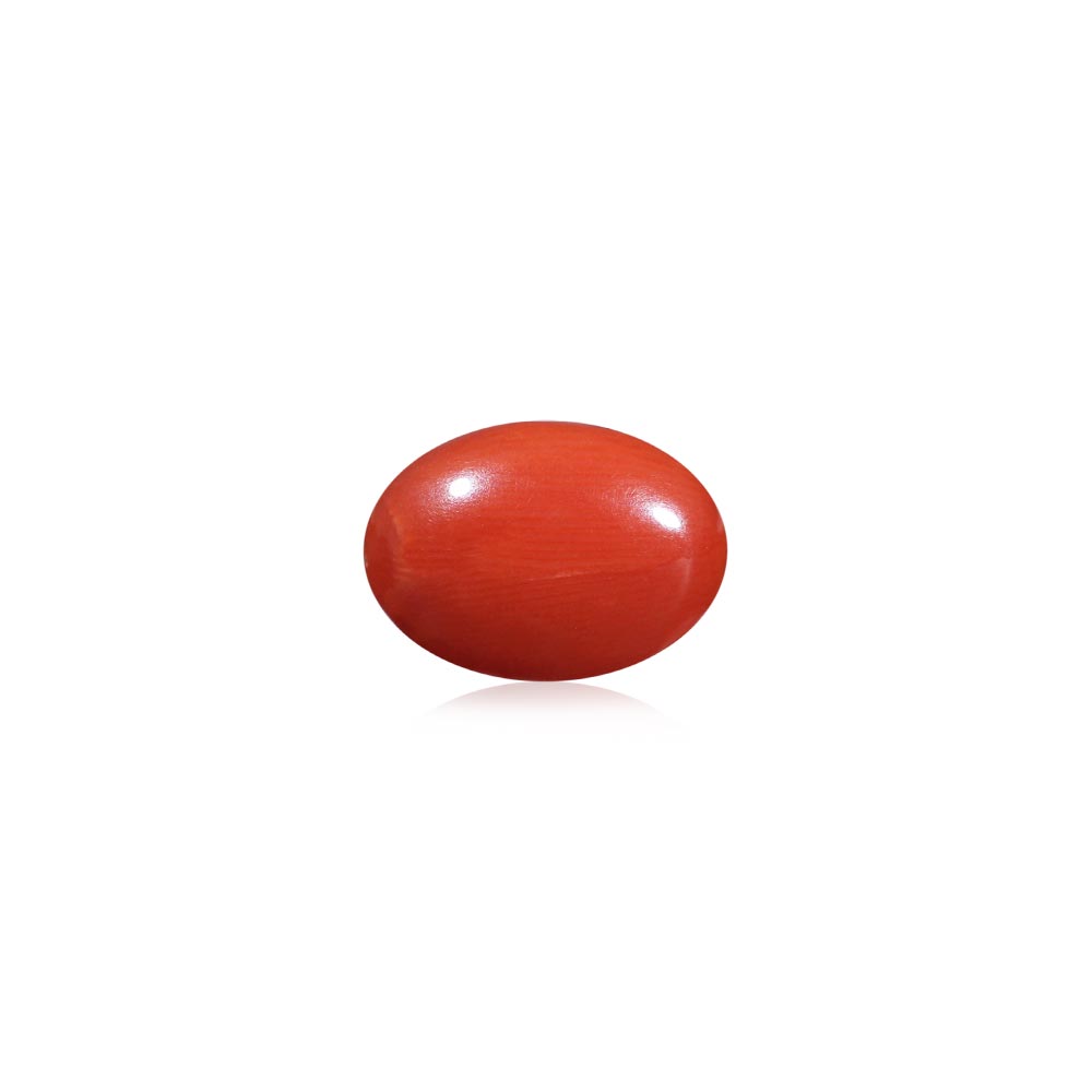 Red Coral - 5.65 Carat