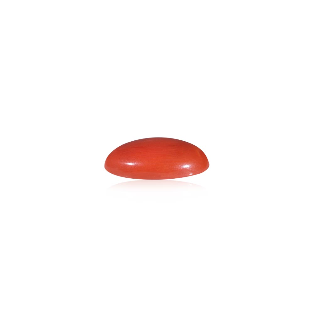 Red Coral - 5.65 Carat