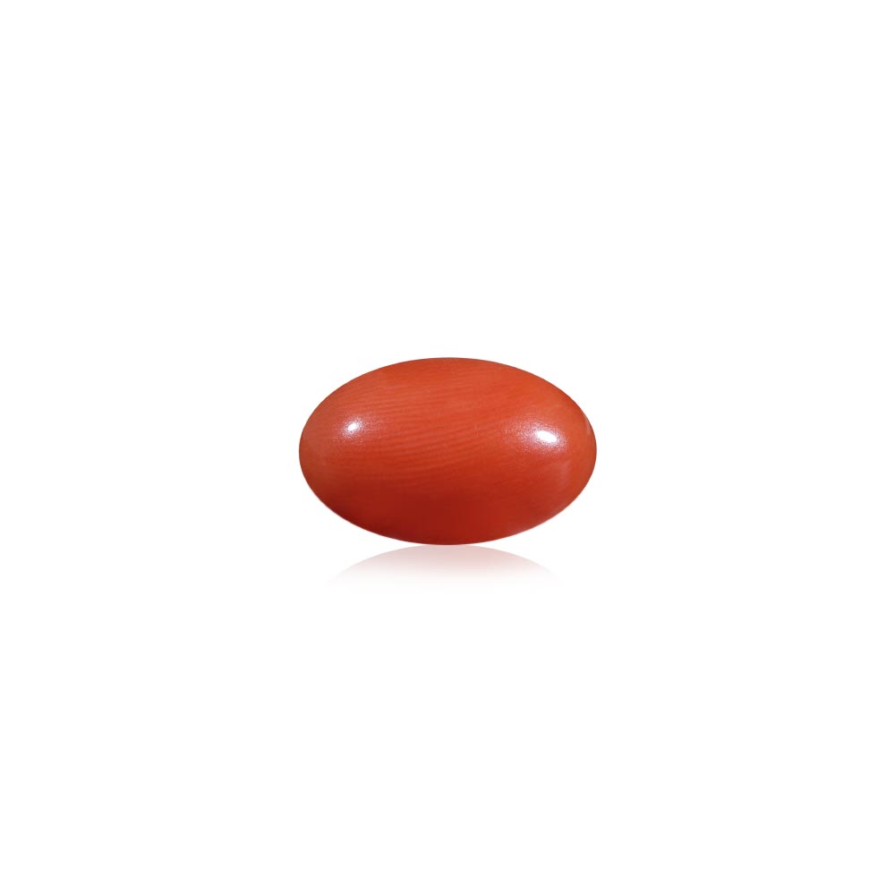 Red Coral - 5.66 Carat