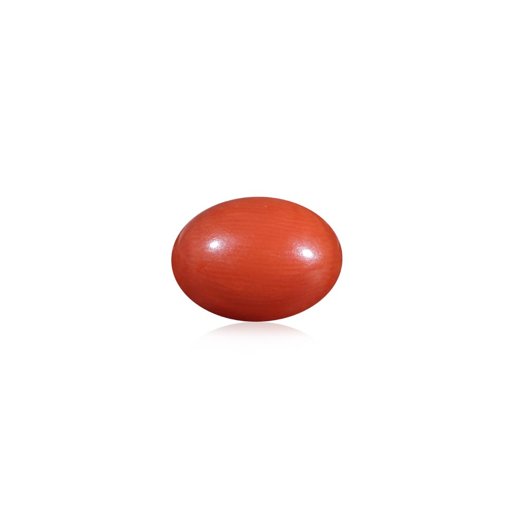 Red Coral - 5.67 Carat