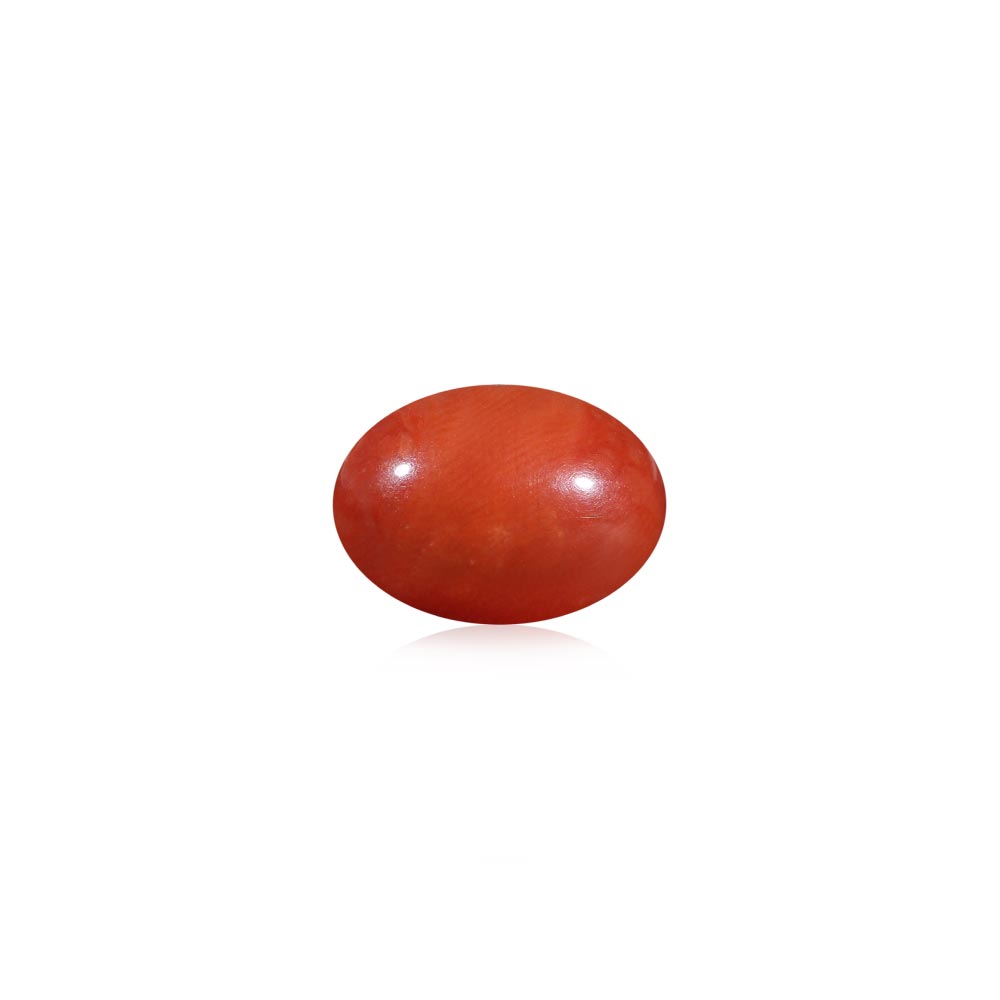 Red Coral - 5.69 Carat