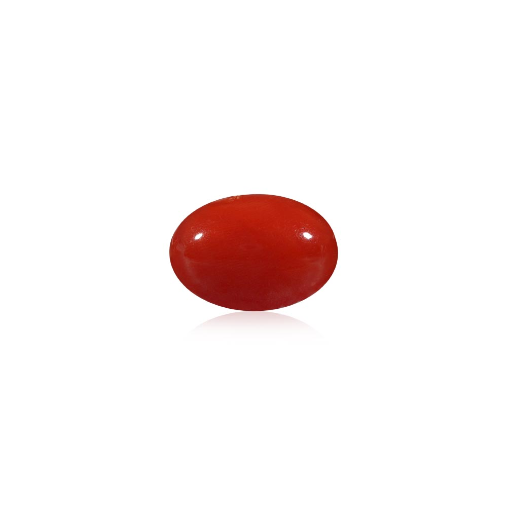 Red Coral - 5.7 Carat