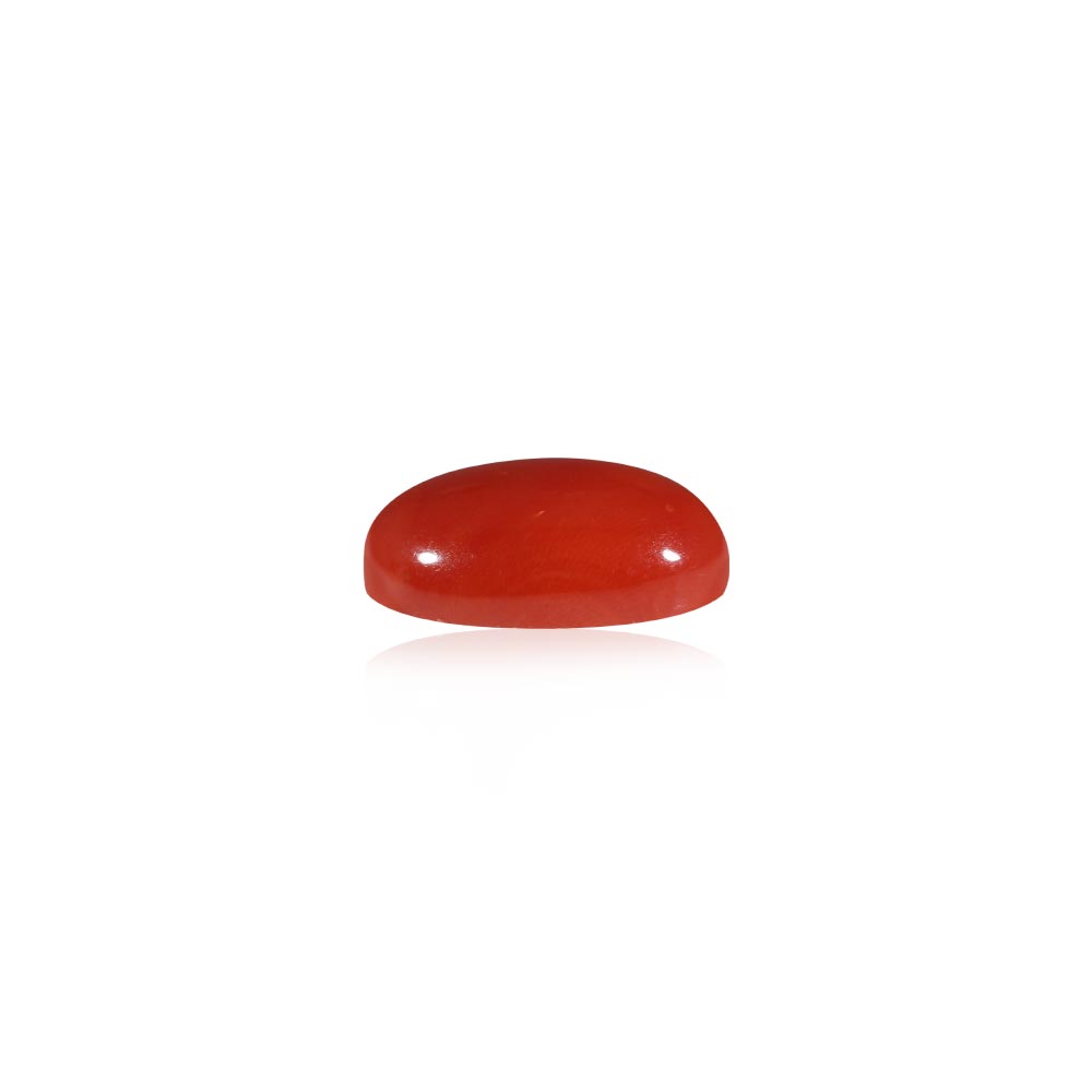Red Coral - 5.7 Carat