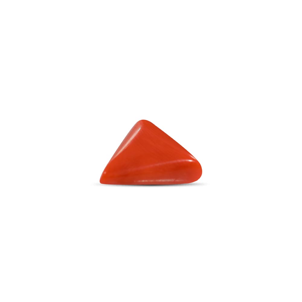 Red Coral - 5.7 Carat