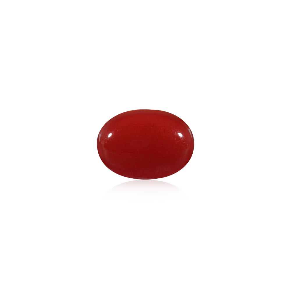 Red Coral - 5.73 Carat
