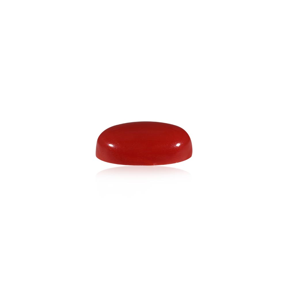 Red Coral - 5.73 Carat