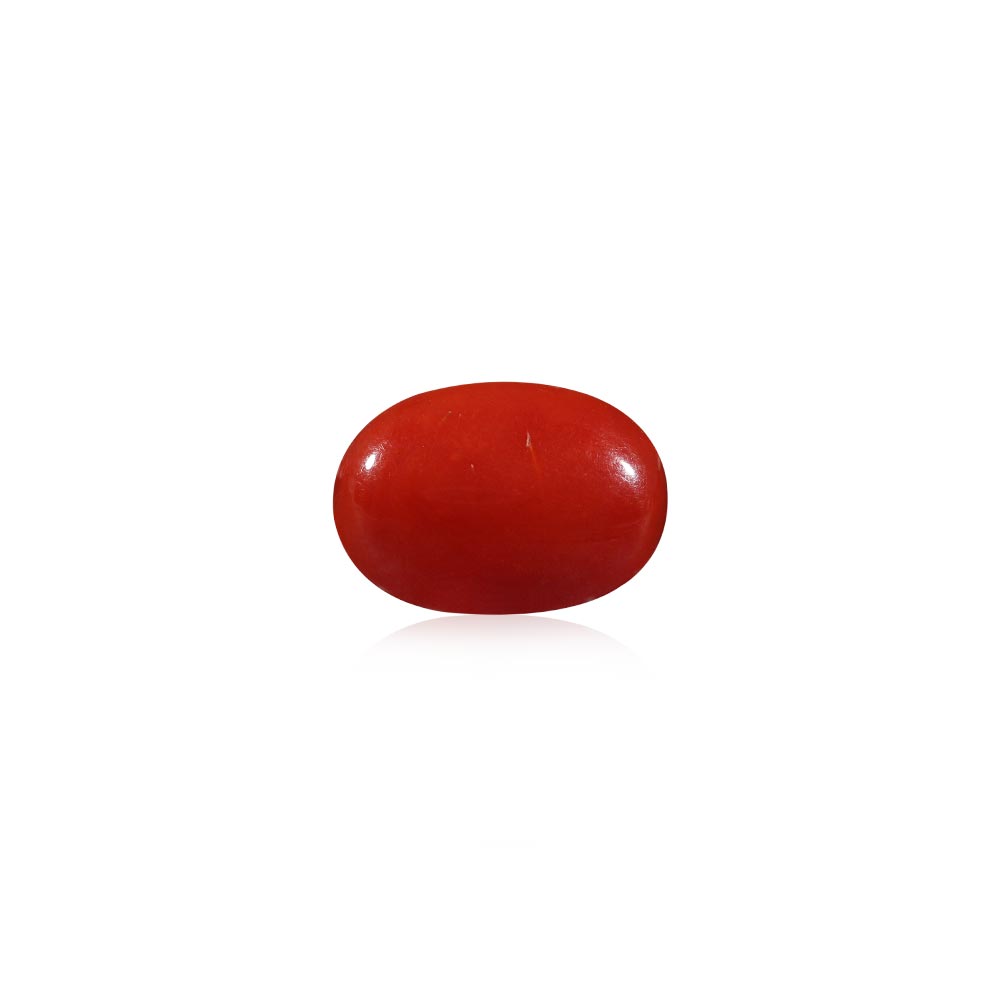 Red Coral - 5.73 Carat