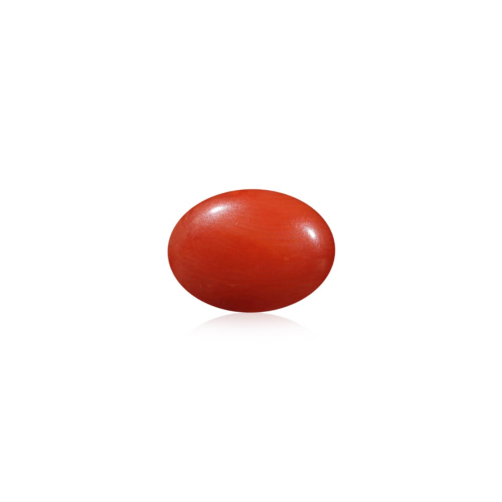 Red Coral - 5.73 Carat