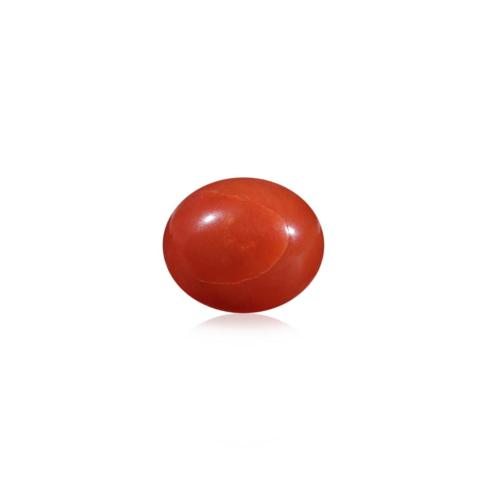 Red Coral - 5.75 Carat