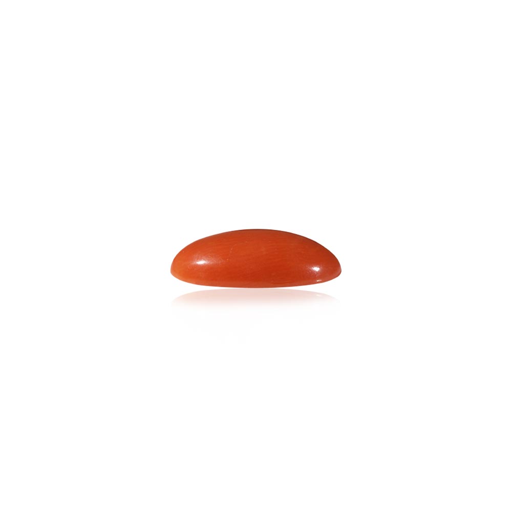 Red Coral - 5.77 Carat