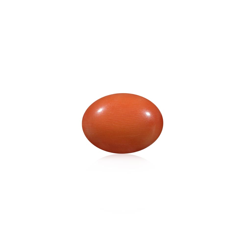 Red Coral - 5.78 Carat